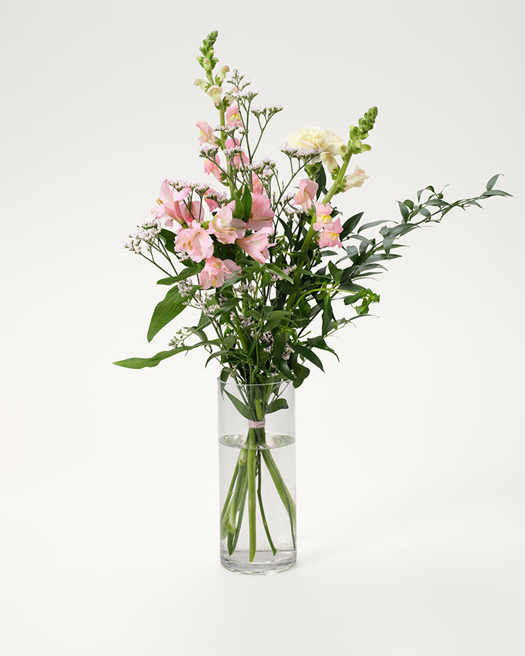 Skimrande rosa